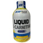 ال کارنتین 1500 برند اوربیلد